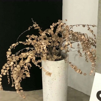 石首福瑞交流群